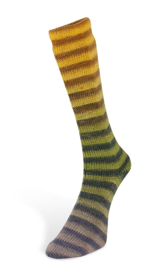 6 PLY PAINT SOCKS 02